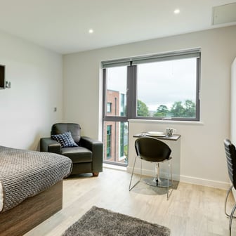 Premium Plus Studio - Image 2